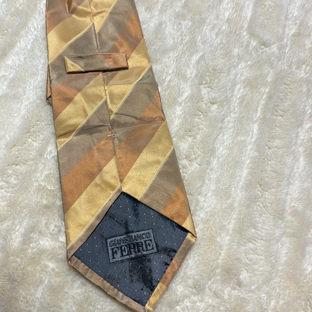 Gianfranco Ferre silk tie